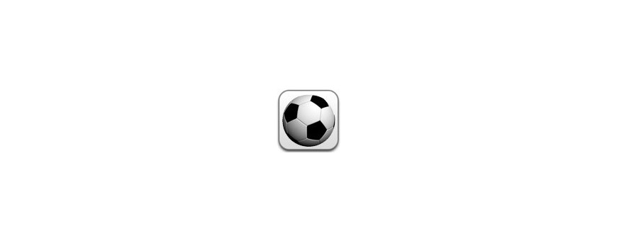 Logo Sportif